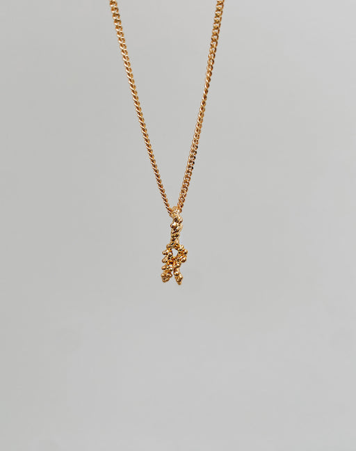 Gourmet chain (without pendant)