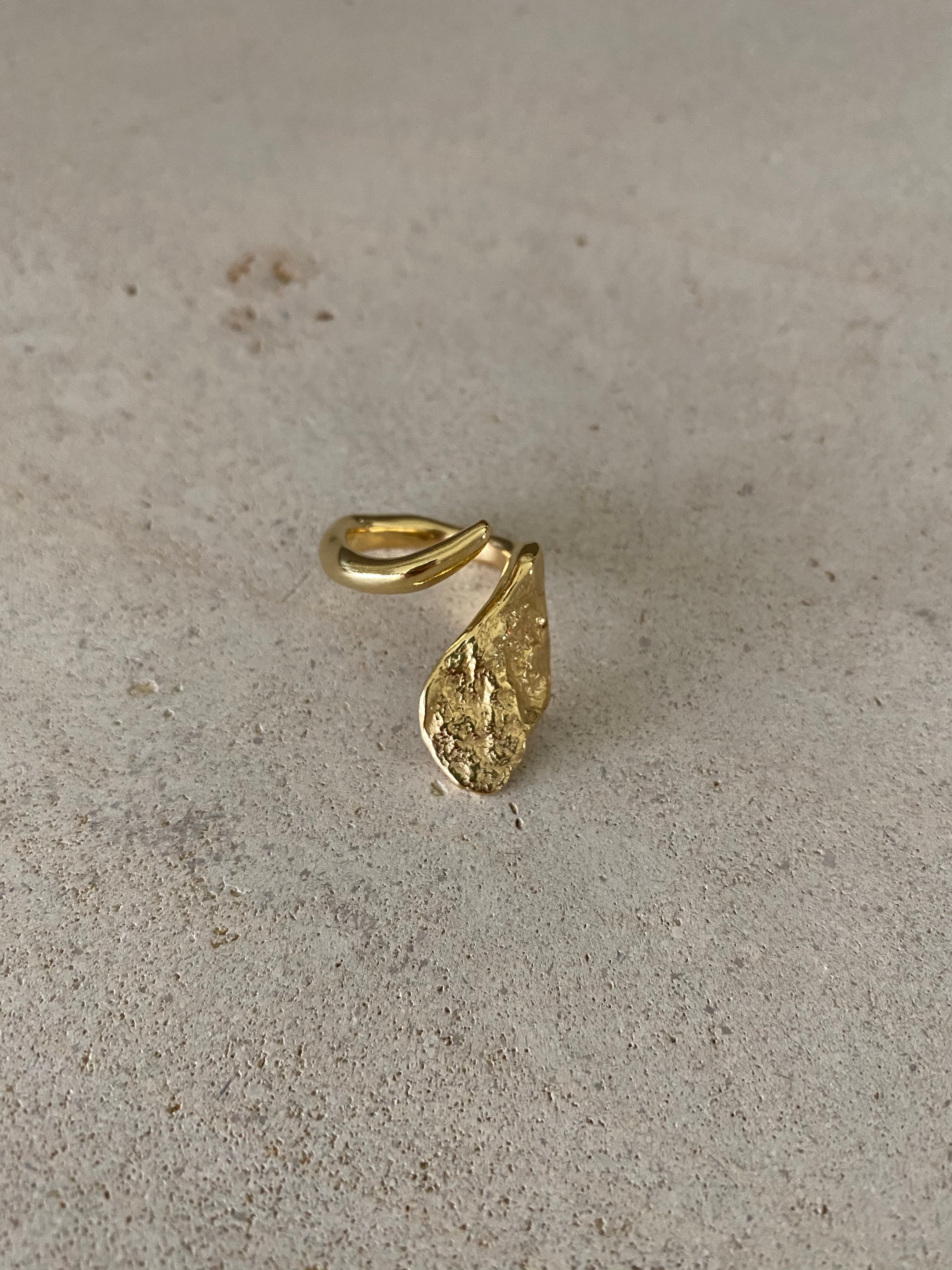 Ring ‘Fall’ sample size 50